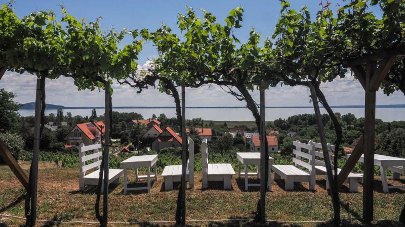 Balatonalmádi kilépésére az önkormányzati társulás elnöke a következőképpen reagált:
