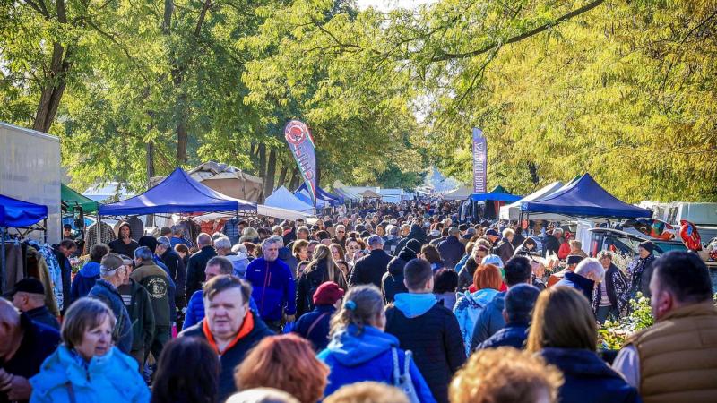 Itt valóban minden megtalálható, ami életre kel és mozog! - Hatalmas tömeg gyűlt össze a dunaföldvári vásáron (galéria)