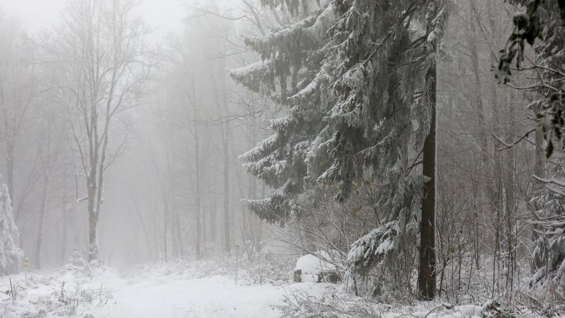 Lenyűgöző felvétel készült Ausztriában, ahol gyönyörű, vastag hópelyhek hullanak az égből - nézd meg a videót!