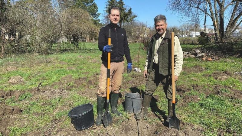 Fenntartható kertészeti megoldások segíthetnek megóvni a városi klímát, és Kecskeméten már elkezdődött a pozitív átalakulás.