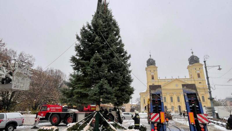 Debrecen főterére megérkezett a karácsonyi csoda: a város gyönyörű karácsonyfája! Nézd meg a videót, és merülj el az ünnepi hangulatban!