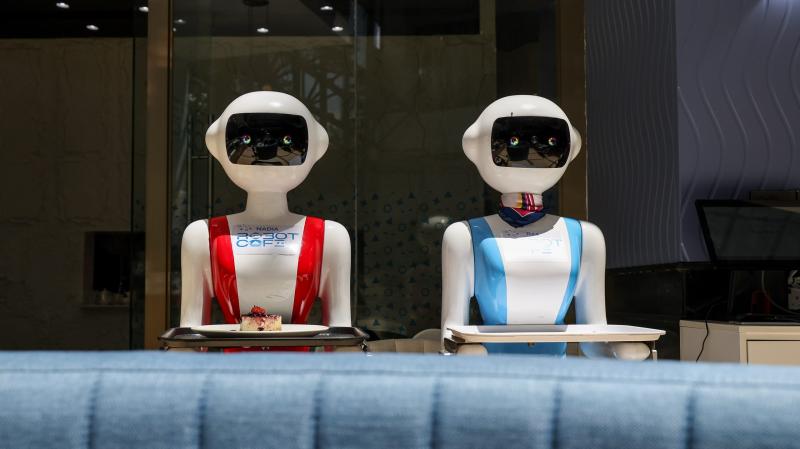 A következő évtizedek során elképzelhető, hogy a bolygónkon hárommilliárd humanoid robot fog megjelenni, átalakítva ezzel a mindennapi életünket.