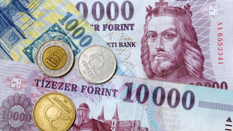 A minisztérium véglegesen eldöntötte: jelentős pénzügyi támogatásban részesülnek az állattartók, ezzel milliárdos forrásokat biztosítanak számukra - Agro Napló.