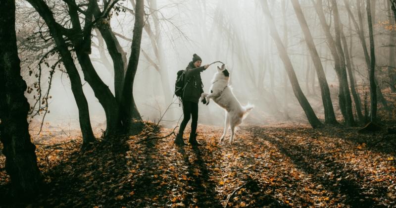 A jövő héten változékony időjárásra számíthatunk. | Demokrata