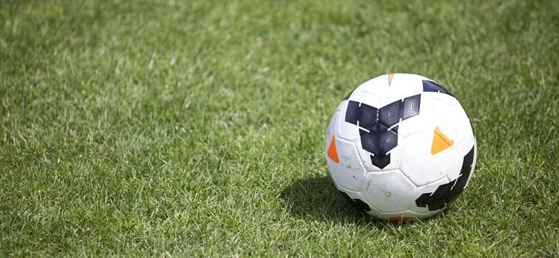 Nyolc év börtönbüntetésre ítélték a szökésben lévő labdarúgóedzőt.