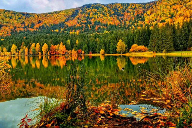 A természet csodáit bemutató kalendárium (DCXCII.) 