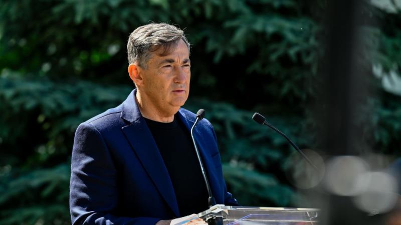 Mészáros Lőrinc így fogalmazott: 