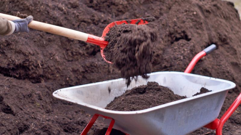 Itt a hagyományos falusi bölcsesség titka: ez a módszer még ma is hatékonyan alkalmazható - Agro Napló