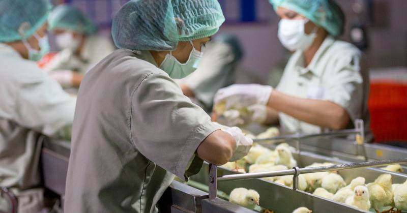 Antibiotikumok: A túlzott alkalmazás globális kihívása

Az antibiotikumok felfedezése forradalmasította az orvostudományt, ám a túlhasználatuk komoly globális problémává vált. A baktériumok gyorsan alkalmazkodnak, és egyre ellenállóbbá válnak a hagyományo